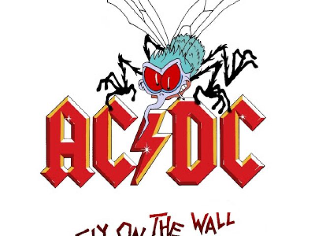 ACDC Fly on the Wall 2