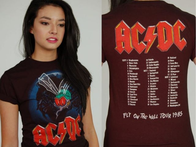 ACDC Fly on the Wall Simon Wright Tour